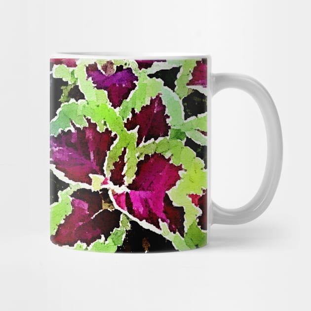 coleus leaves pattern by Banyu_Urip